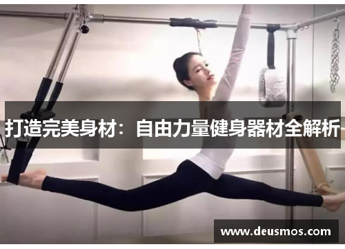 打造完美身材：自由力量健身器材全解析