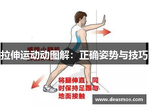 拉伸运动动图解：正确姿势与技巧