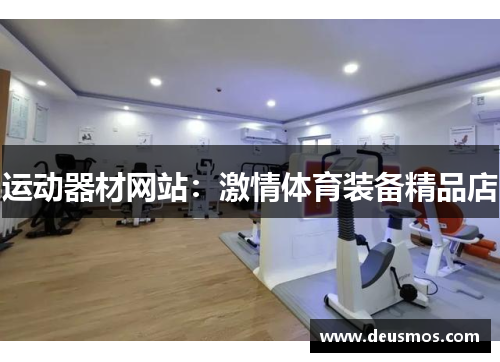 运动器材网站：激情体育装备精品店